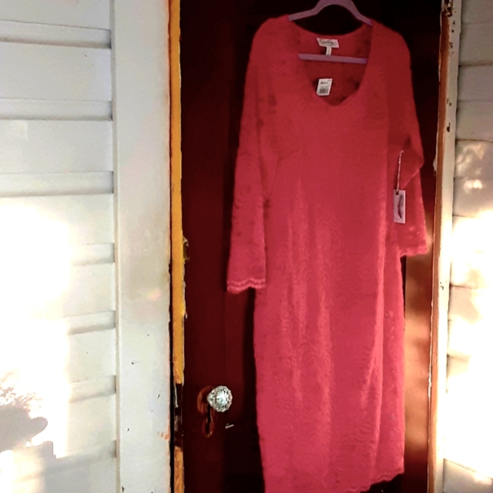 Jessica Simpson Maternity sz large lace knee length dress 3/4 length sleeves NWT